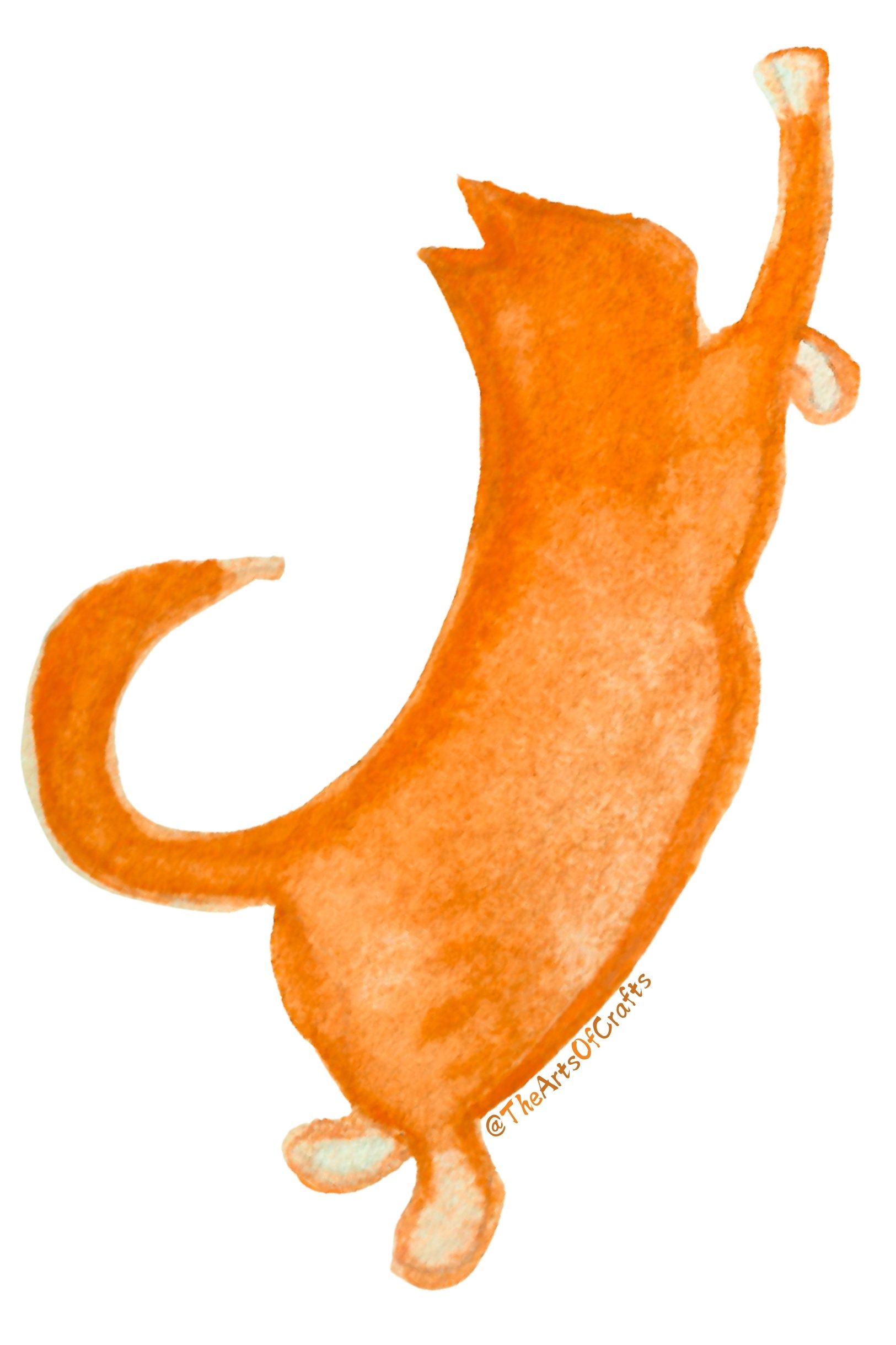 painted orange cat sticker